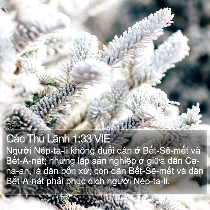 Các Thủ Lãnh 1:33 VIE Bible Study