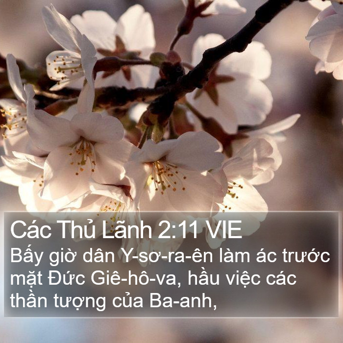 Các Thủ Lãnh 2:11 VIE Bible Study