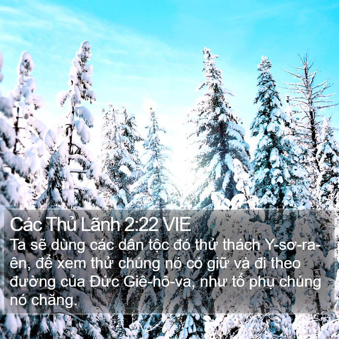 Các Thủ Lãnh 2:22 VIE Bible Study