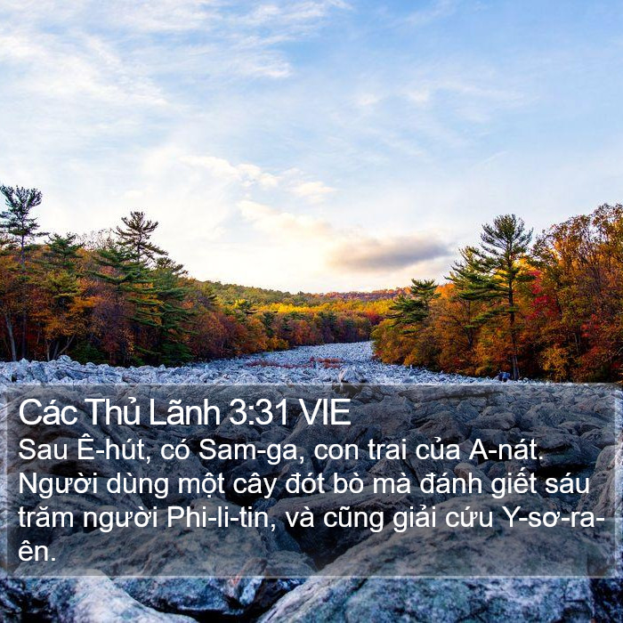 Các Thủ Lãnh 3:31 VIE Bible Study