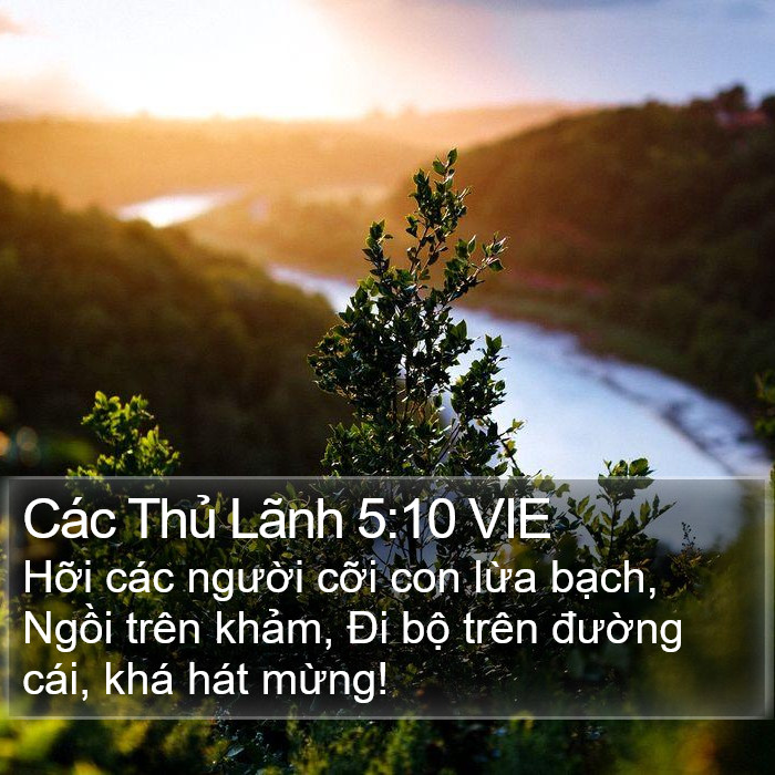 Các Thủ Lãnh 5:10 VIE Bible Study