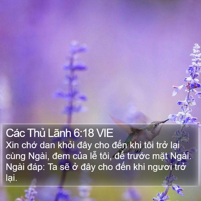 Các Thủ Lãnh 6:18 VIE Bible Study