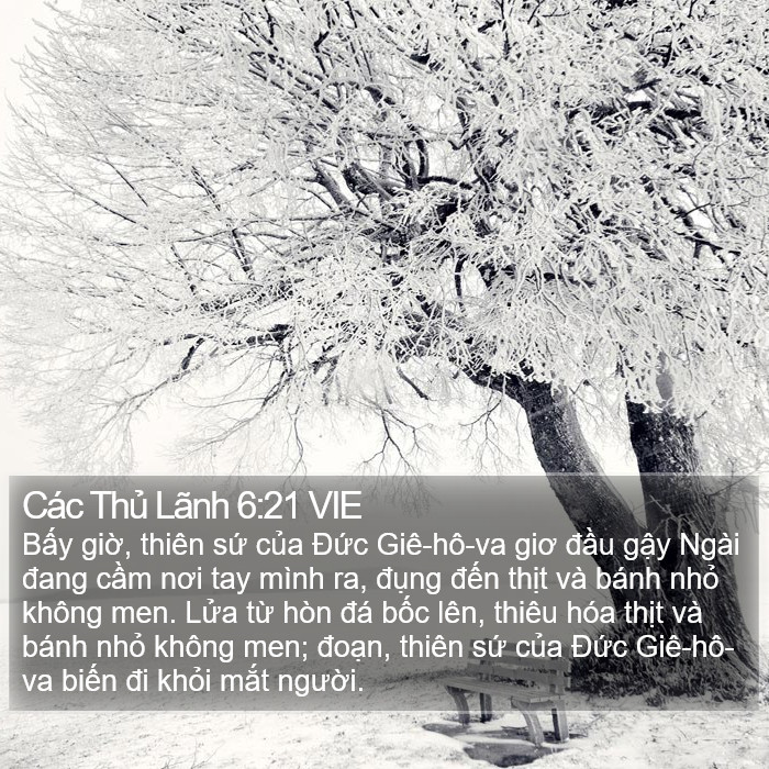 Các Thủ Lãnh 6:21 VIE Bible Study