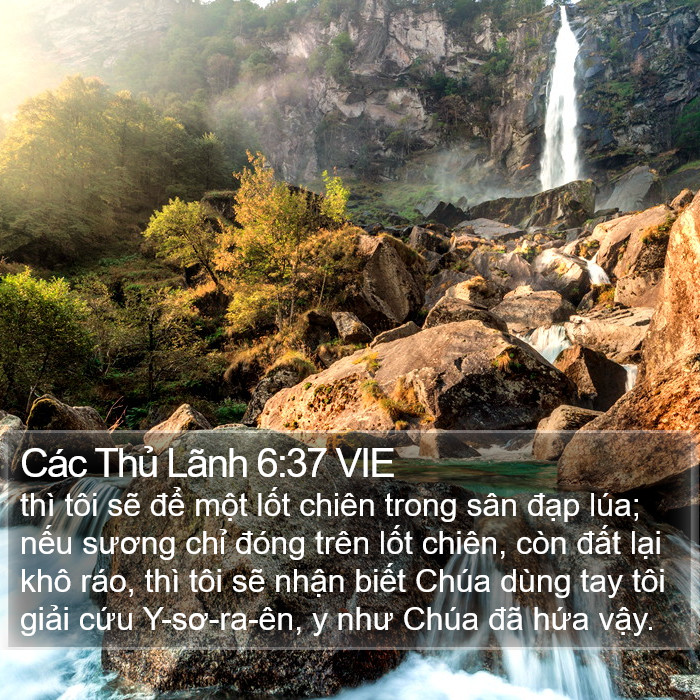 Các Thủ Lãnh 6:37 VIE Bible Study