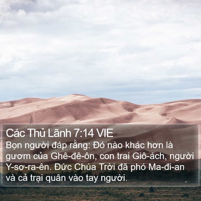 Các Thủ Lãnh 7:14 VIE Bible Study