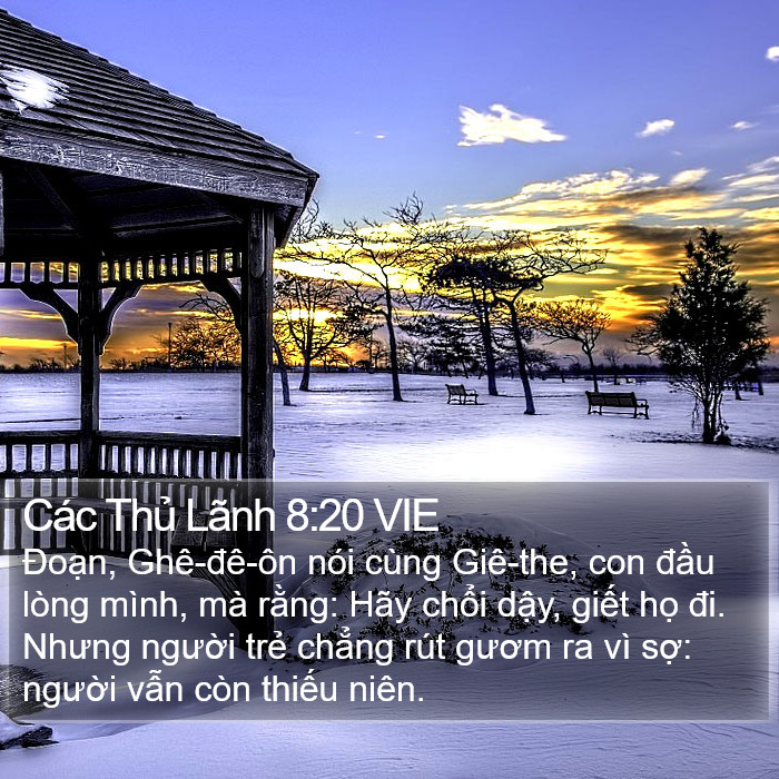 Các Thủ Lãnh 8:20 VIE Bible Study