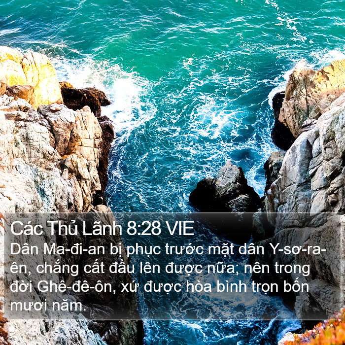 Các Thủ Lãnh 8:28 VIE Bible Study