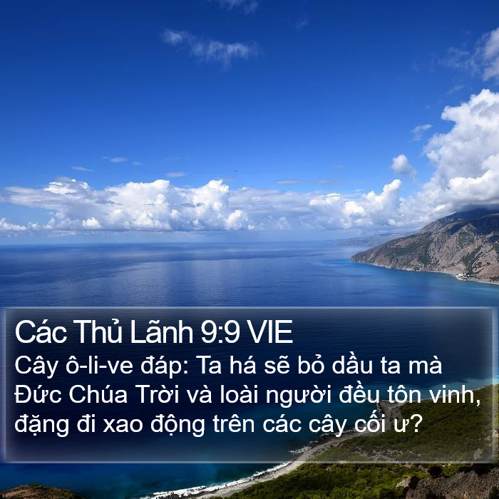 Các Thủ Lãnh 9:9 VIE Bible Study