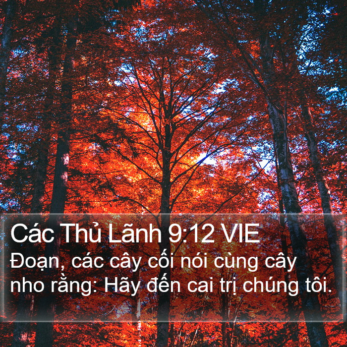 Các Thủ Lãnh 9:12 VIE Bible Study