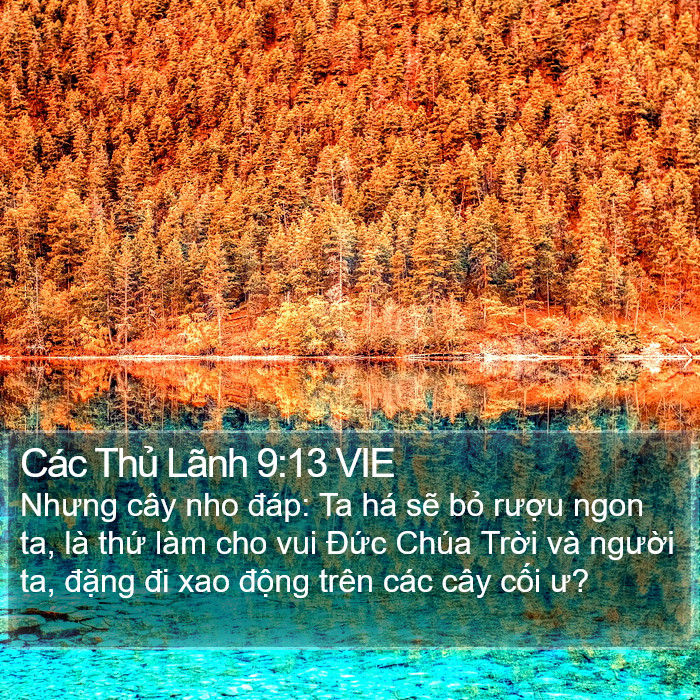 Các Thủ Lãnh 9:13 VIE Bible Study