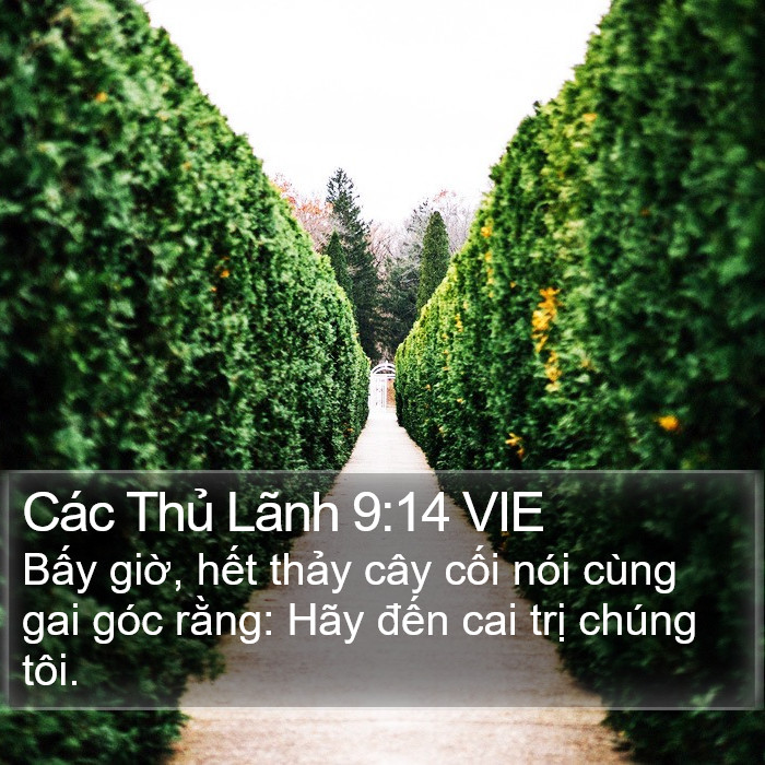 Các Thủ Lãnh 9:14 VIE Bible Study