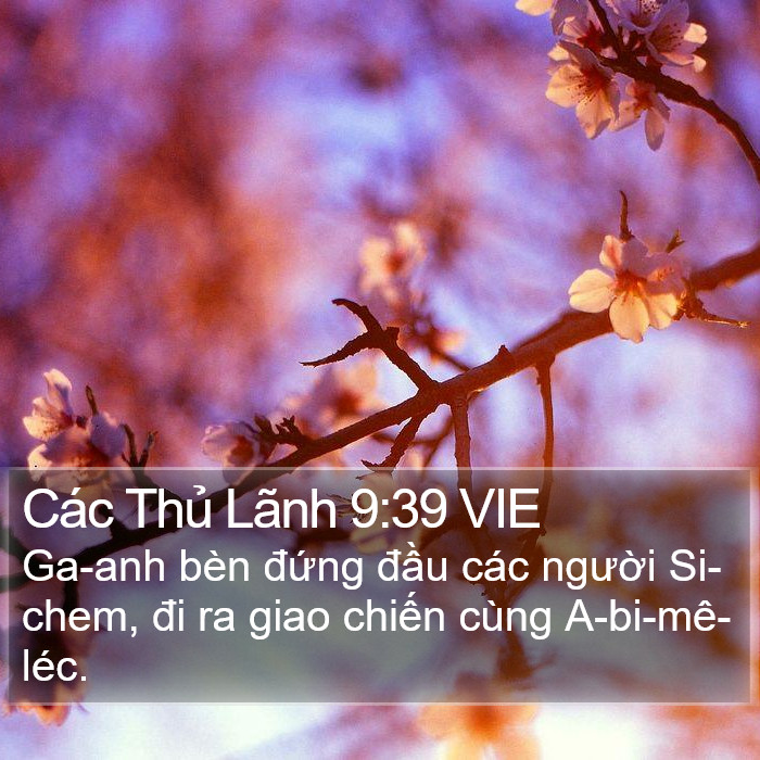Các Thủ Lãnh 9:39 VIE Bible Study