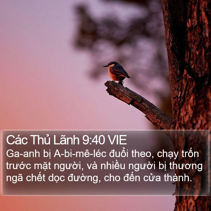 Các Thủ Lãnh 9:40 VIE Bible Study