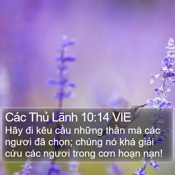 Các Thủ Lãnh 10:14 VIE Bible Study