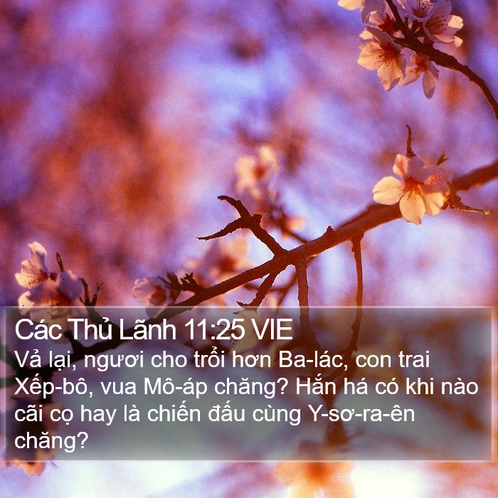 Các Thủ Lãnh 11:25 VIE Bible Study