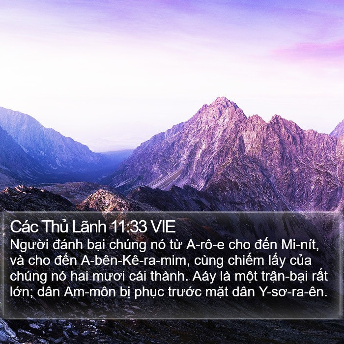 Các Thủ Lãnh 11:33 VIE Bible Study