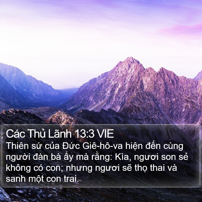 Các Thủ Lãnh 13:3 VIE Bible Study