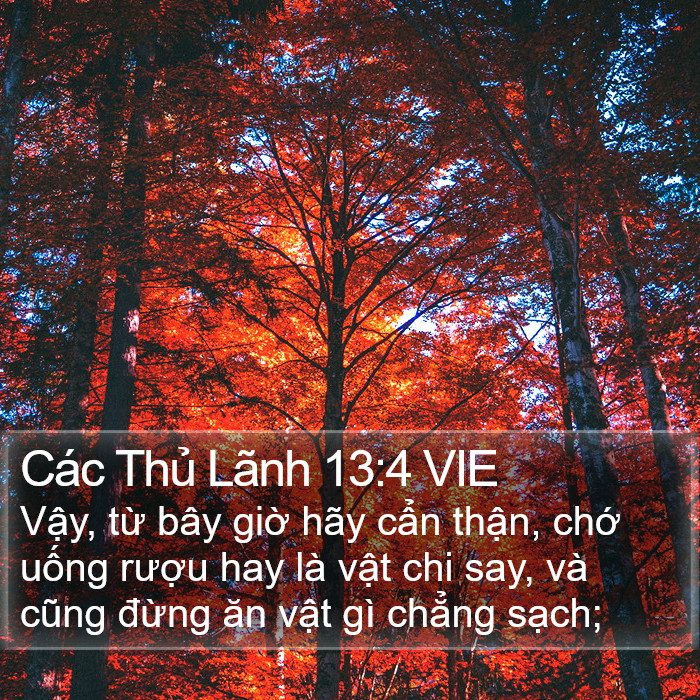 Các Thủ Lãnh 13:4 VIE Bible Study