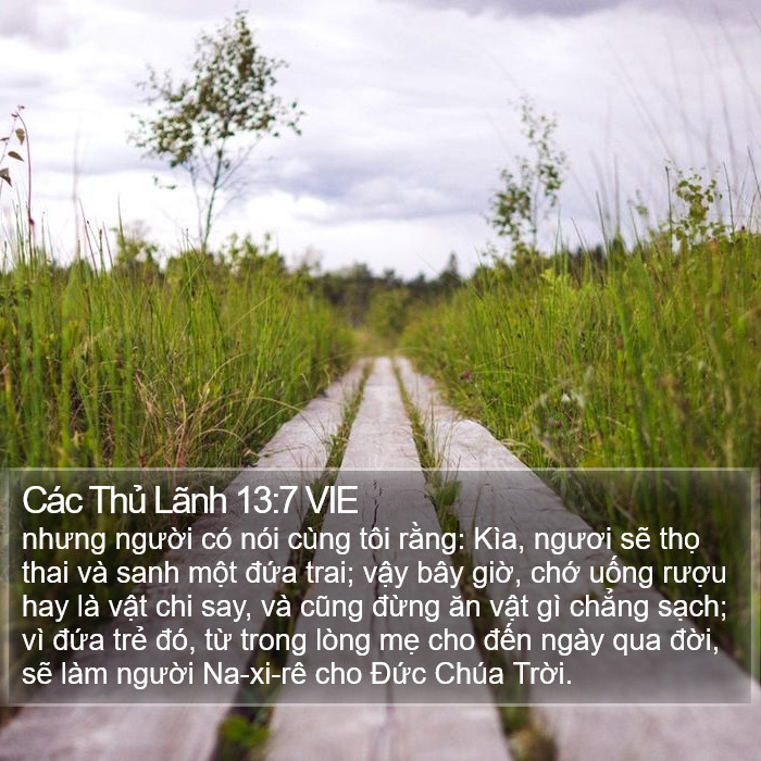 Các Thủ Lãnh 13:7 VIE Bible Study