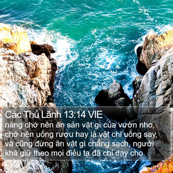 Các Thủ Lãnh 13:14 VIE Bible Study