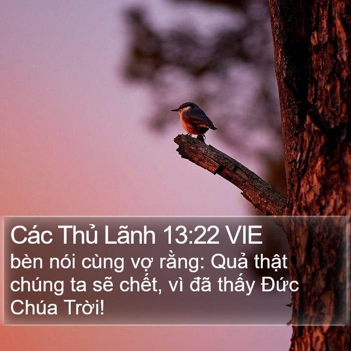 Các Thủ Lãnh 13:22 VIE Bible Study