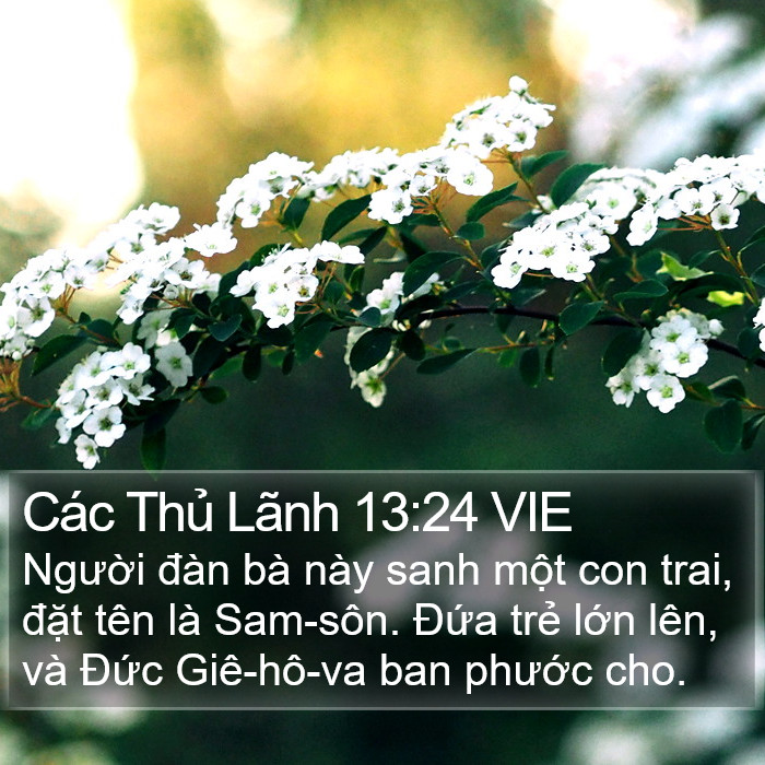 Các Thủ Lãnh 13:24 VIE Bible Study