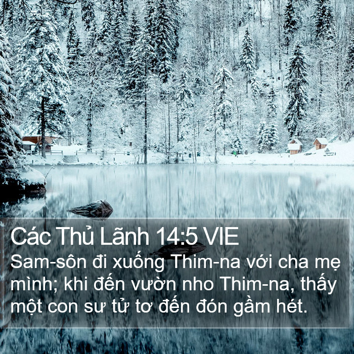 Các Thủ Lãnh 14:5 VIE Bible Study