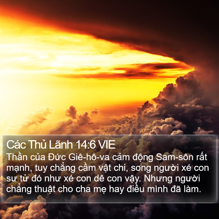 Các Thủ Lãnh 14:6 VIE Bible Study