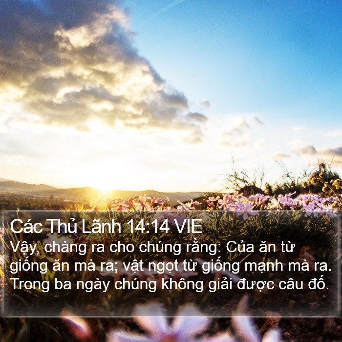 Các Thủ Lãnh 14:14 VIE Bible Study