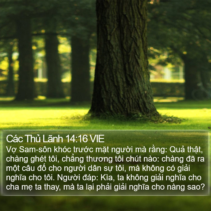 Các Thủ Lãnh 14:16 VIE Bible Study