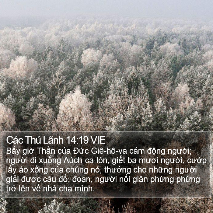 Các Thủ Lãnh 14:19 VIE Bible Study