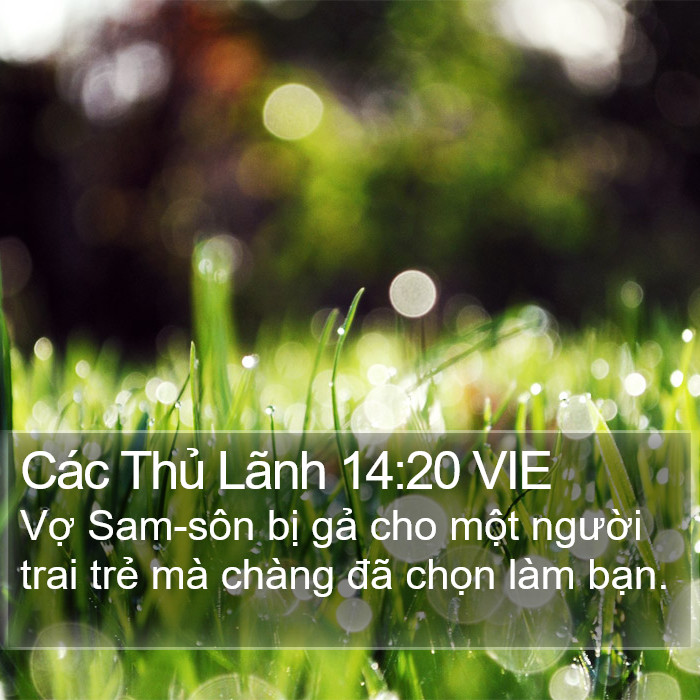 Các Thủ Lãnh 14:20 VIE Bible Study