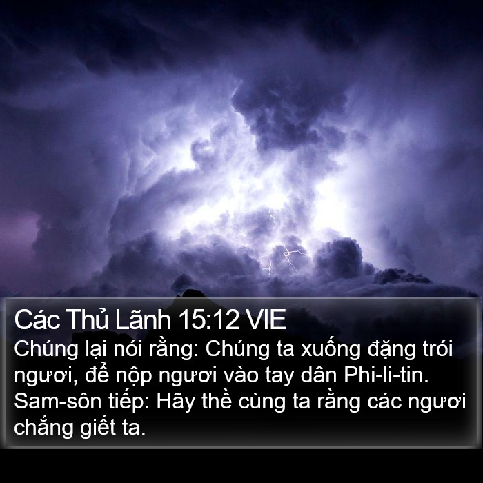 Các Thủ Lãnh 15:12 VIE Bible Study