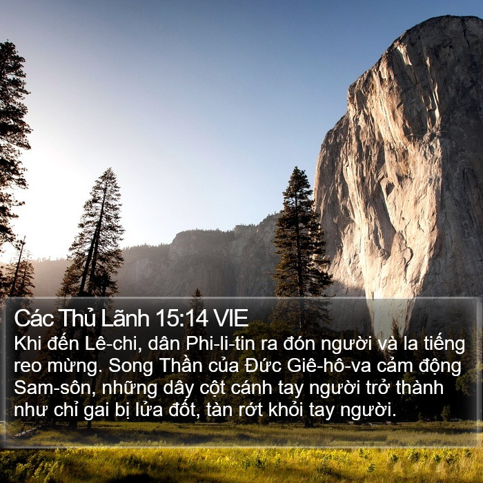 Các Thủ Lãnh 15:14 VIE Bible Study