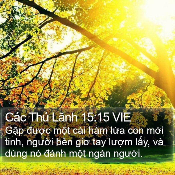 Các Thủ Lãnh 15:15 VIE Bible Study