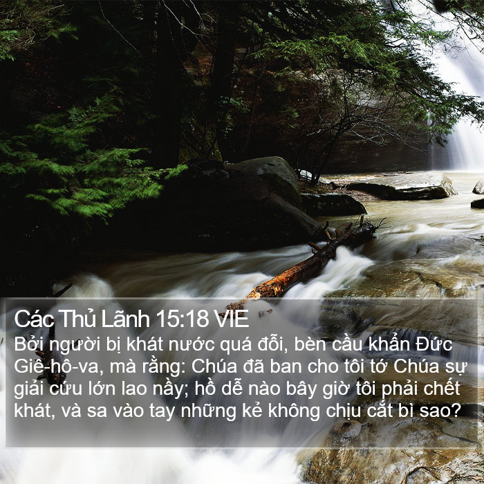 Các Thủ Lãnh 15:18 VIE Bible Study