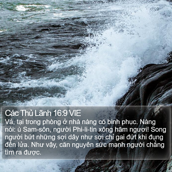 Các Thủ Lãnh 16:9 VIE Bible Study