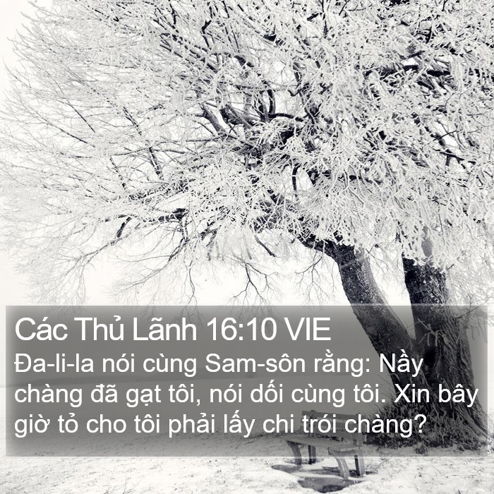 Các Thủ Lãnh 16:10 VIE Bible Study