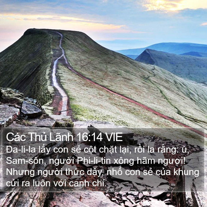 Các Thủ Lãnh 16:14 VIE Bible Study