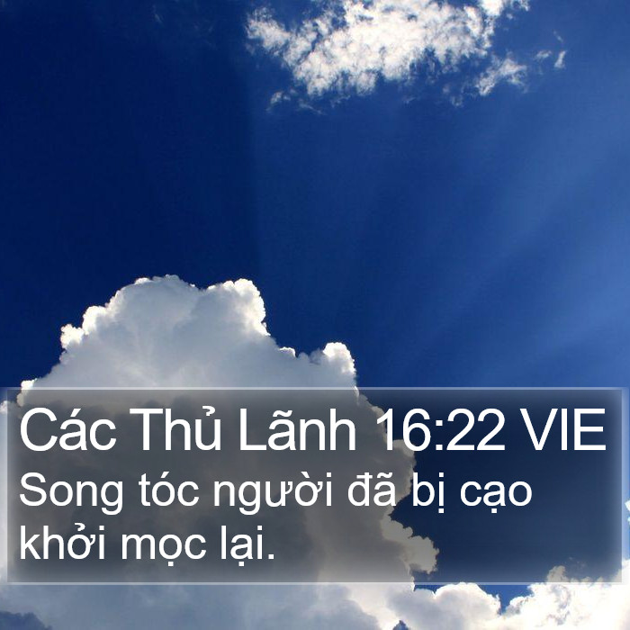 Các Thủ Lãnh 16:22 VIE Bible Study