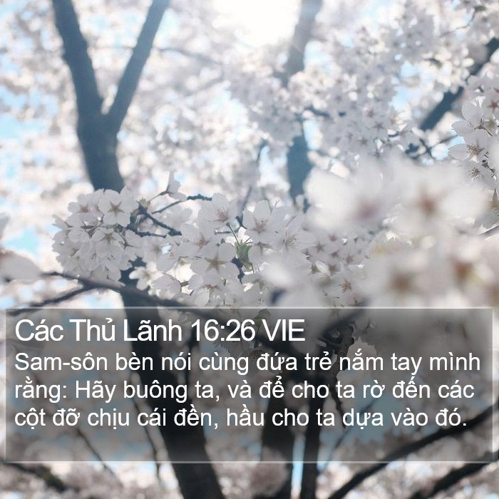 Các Thủ Lãnh 16:26 VIE Bible Study