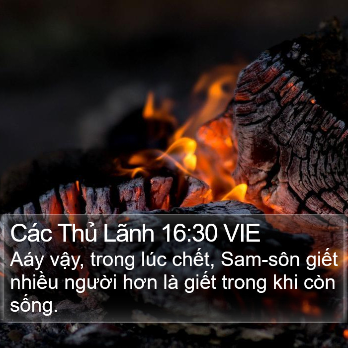 Các Thủ Lãnh 16:30 VIE Bible Study