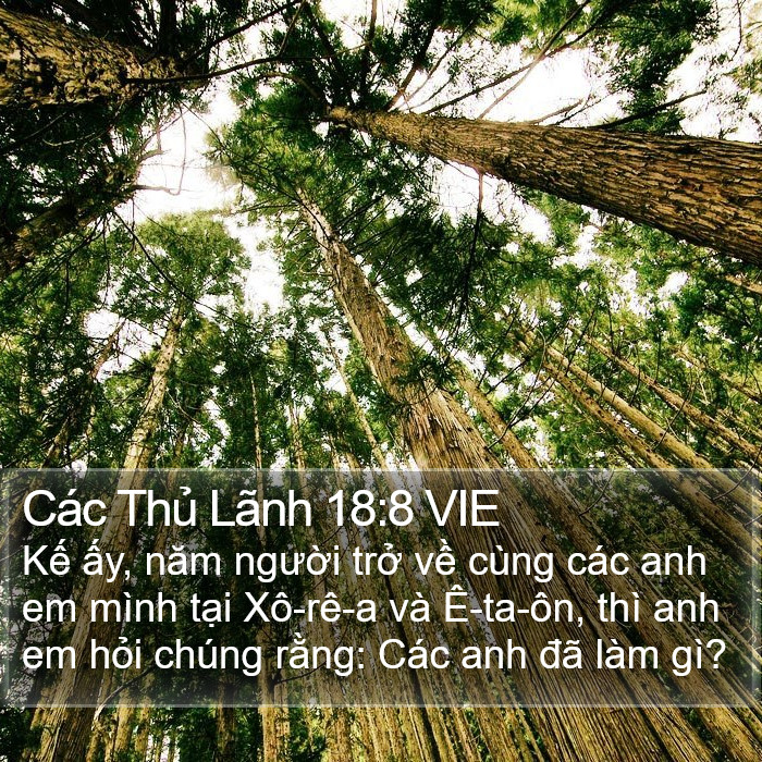 Các Thủ Lãnh 18:8 VIE Bible Study
