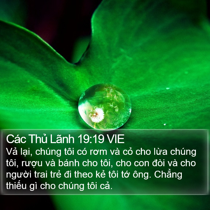 Các Thủ Lãnh 19:19 VIE Bible Study