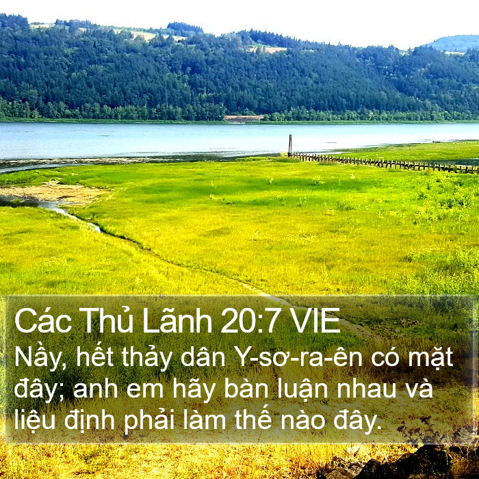 Các Thủ Lãnh 20:7 VIE Bible Study