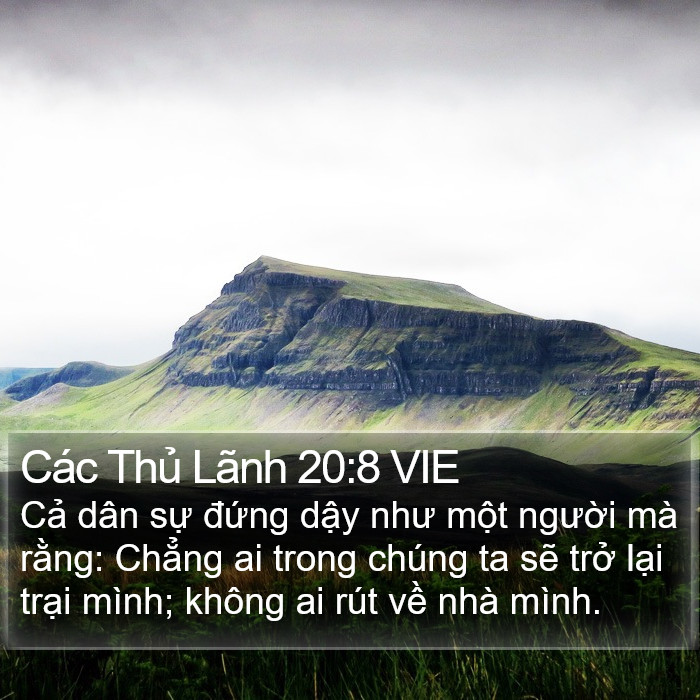 Các Thủ Lãnh 20:8 VIE Bible Study