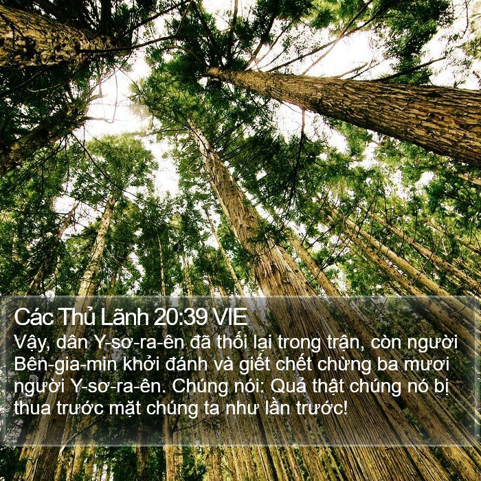 Các Thủ Lãnh 20:39 VIE Bible Study