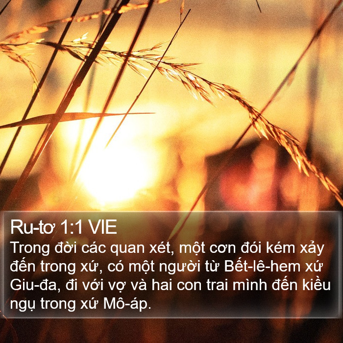 Ru-tơ 1:1 VIE Bible Study