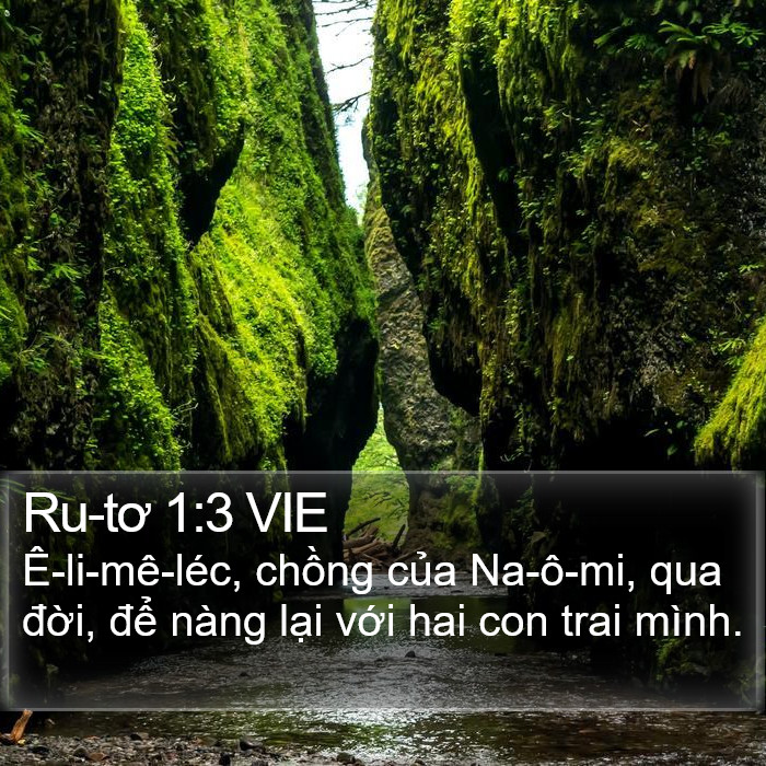 Ru-tơ 1:3 VIE Bible Study