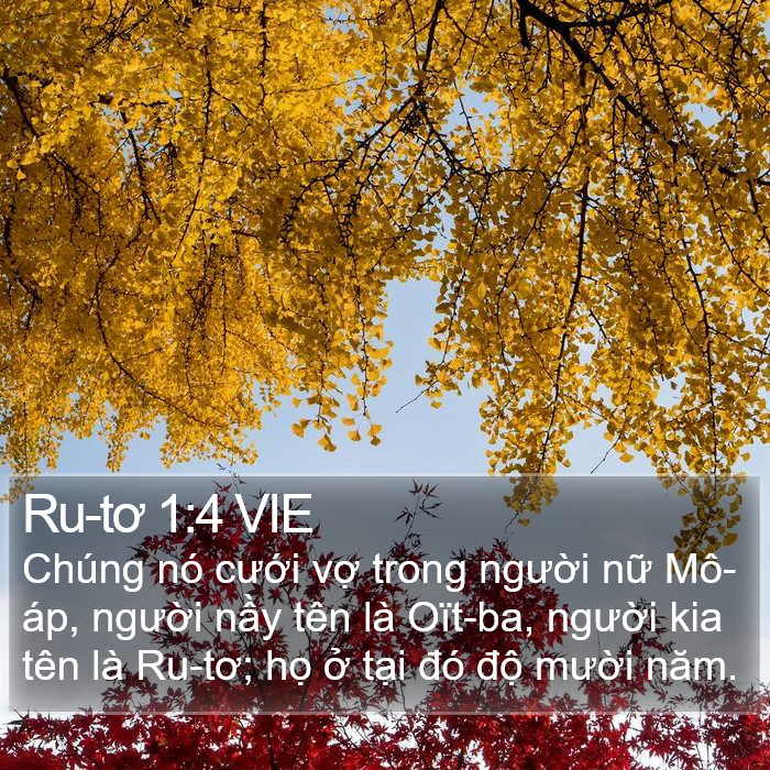 Ru-tơ 1:4 VIE Bible Study